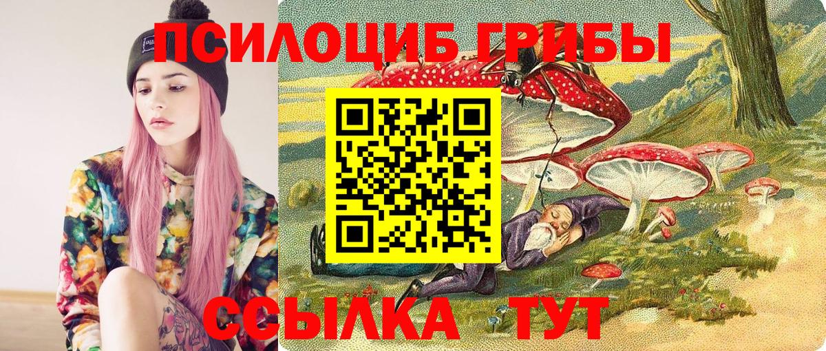 Псилоцибиновые грибы прущие грибы  Псилоцибиновые грибы мицелий  Вход с VPN  Котовск 