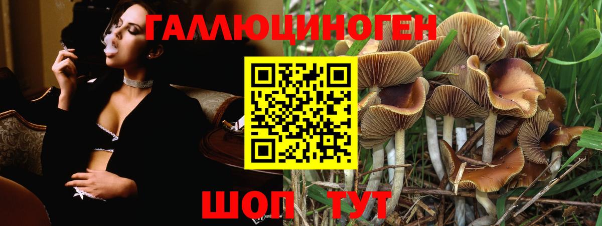 Галлюциногенные грибы прущие грибы Котовск