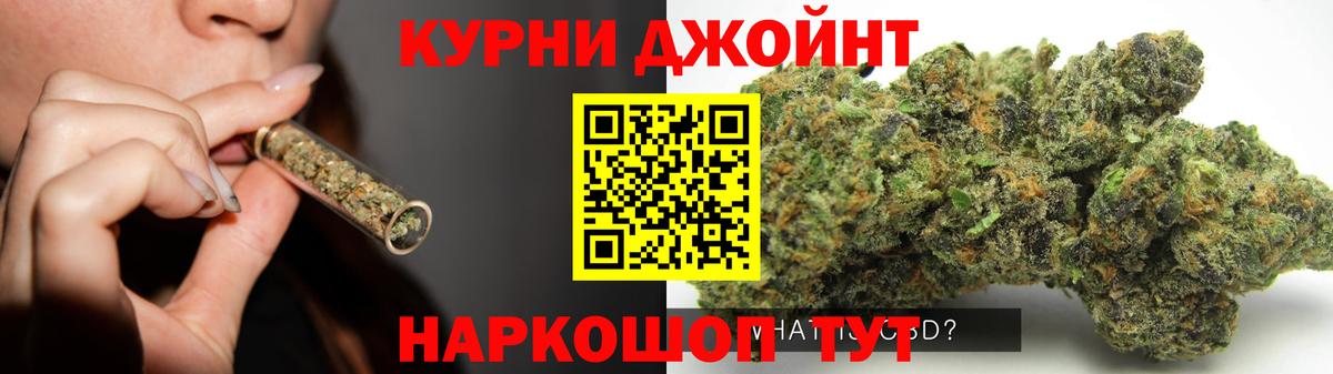 Котовск  Конопля план  Канабис ГИДРОПОН  Вход с VPN  Шишки марихуана White Widow 